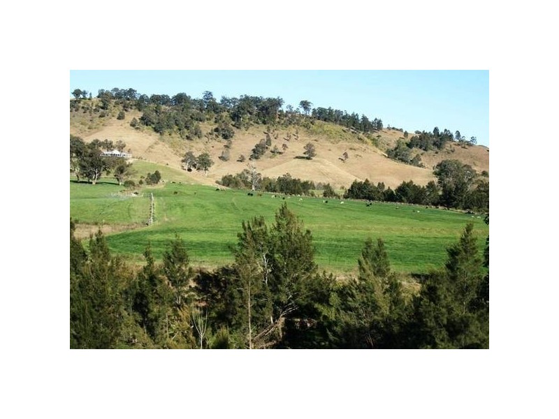 East Gresford NSW 2311