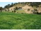 East Gresford NSW 2311