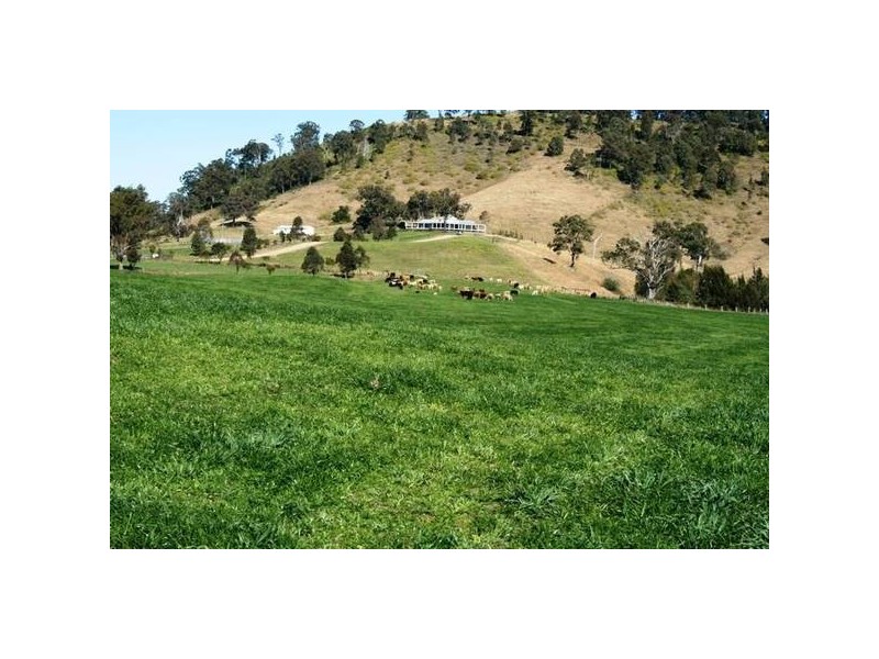 East Gresford NSW 2311