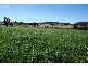 East Gresford NSW 2311
