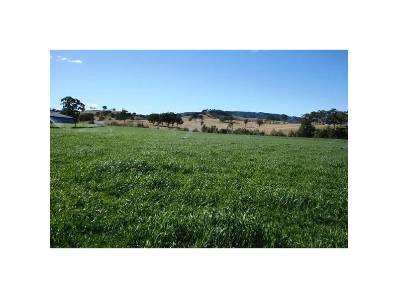 East Gresford NSW 2311
