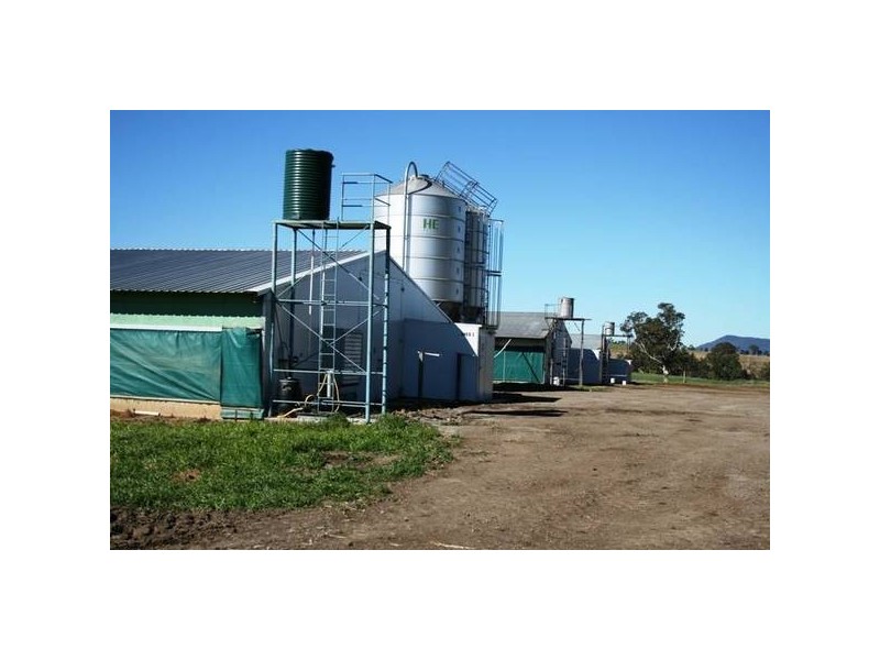 East Gresford NSW 2311
