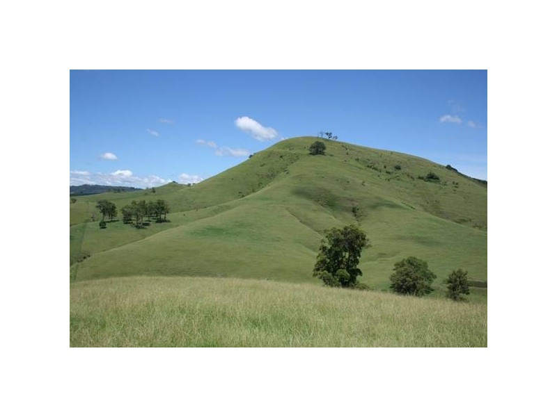Dungog NSW 2420