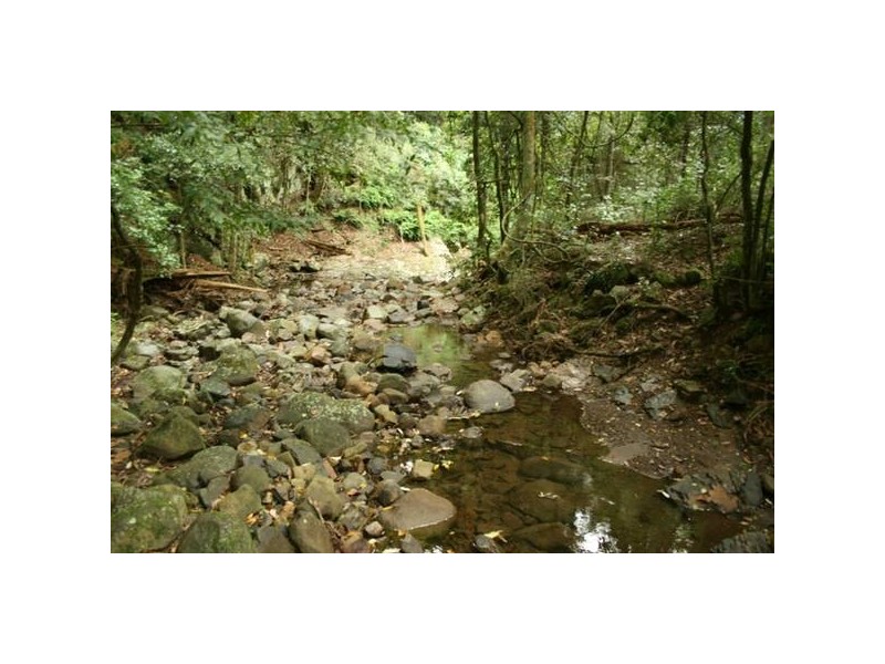 Dungog NSW 2420