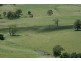 Dungog NSW 2420