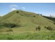 Dungog NSW 2420