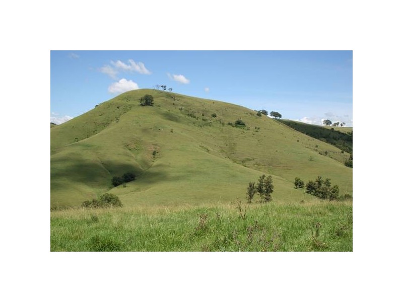 Dungog NSW 2420