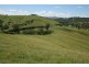 Dungog NSW 2420