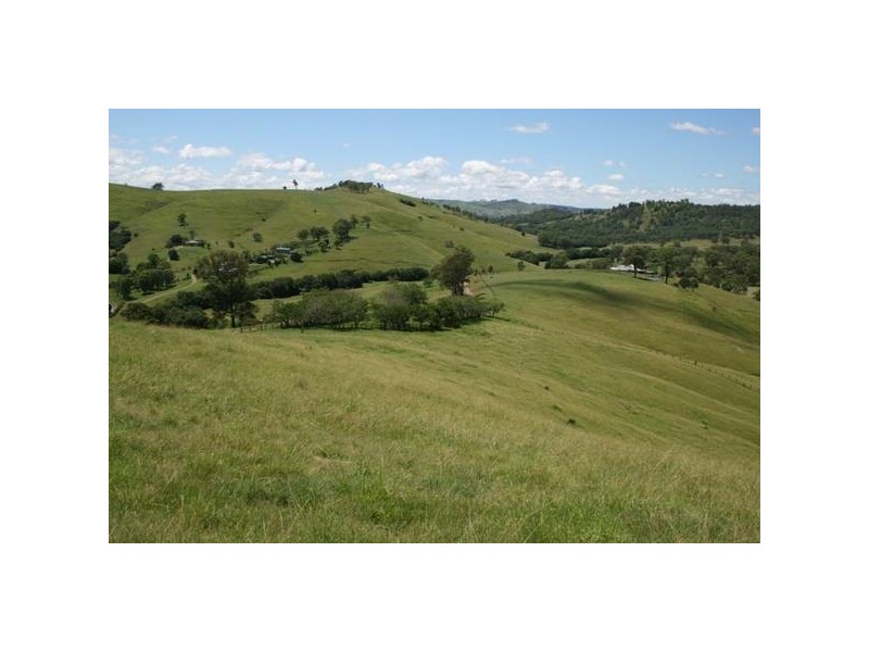 Dungog NSW 2420