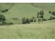 Dungog NSW 2420