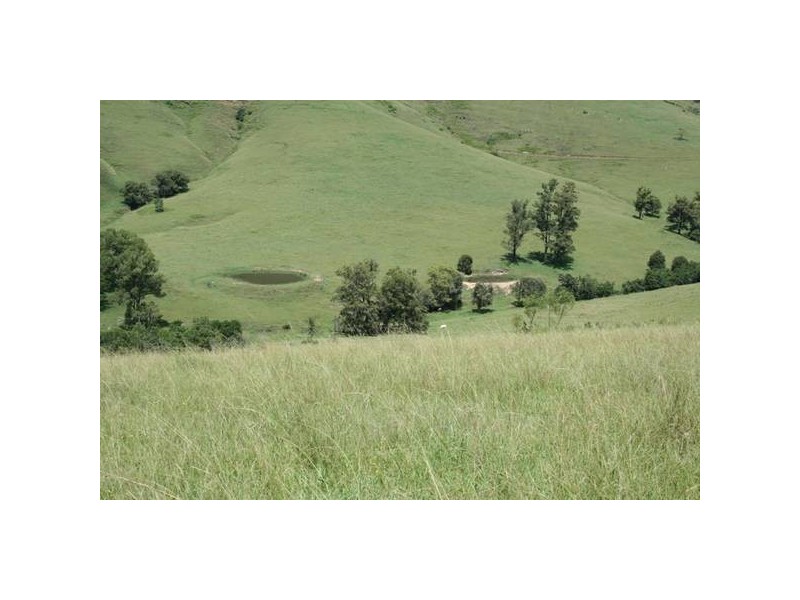 Dungog NSW 2420