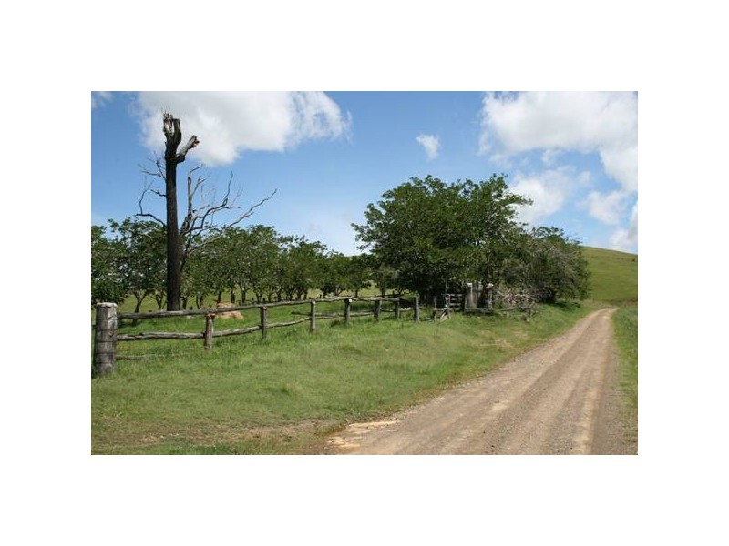 Dungog NSW 2420