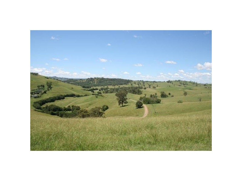Dungog NSW 2420