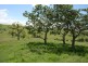 Dungog NSW 2420