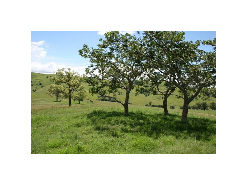 Dungog NSW 2420