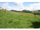 Dungog NSW 2420