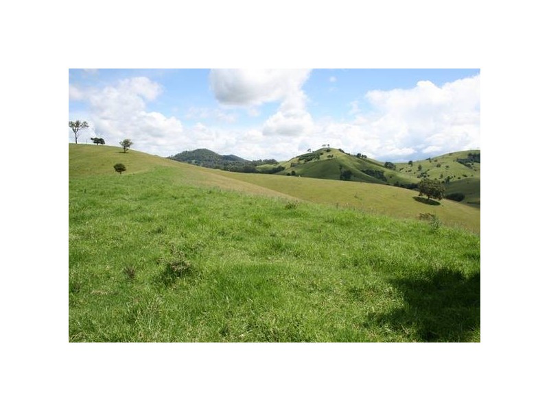 Dungog NSW 2420