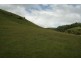 Dungog NSW 2420