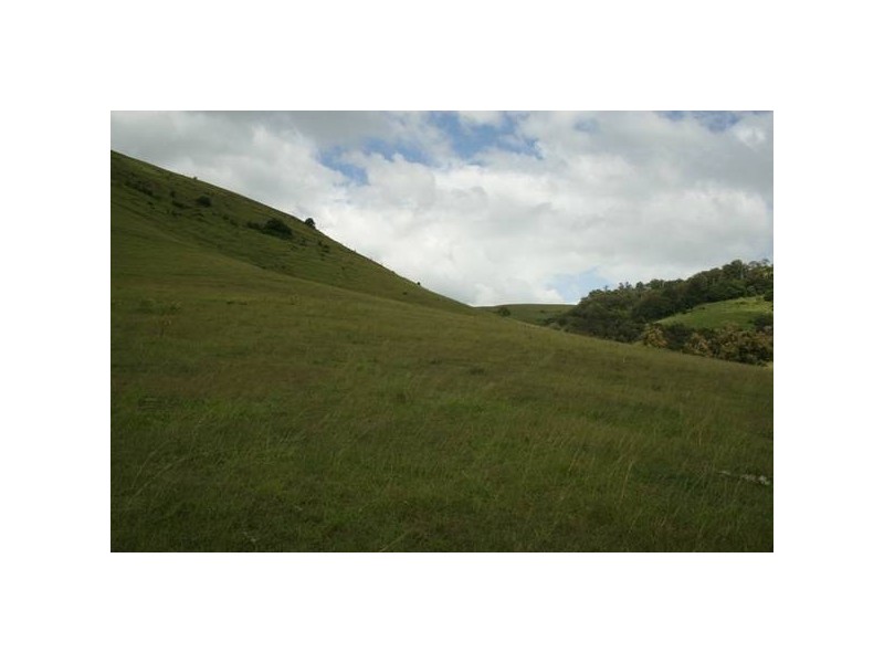 Dungog NSW 2420