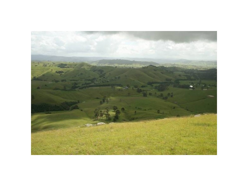 Dungog NSW 2420