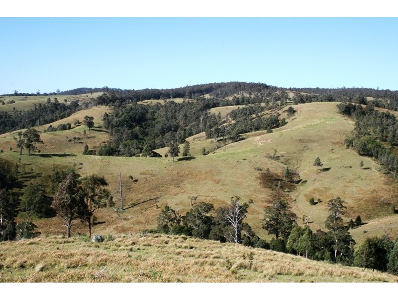 Dungog NSW 2420