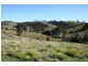 Dungog NSW 2420