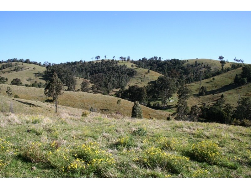 Dungog NSW 2420
