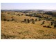 Dungog NSW 2420
