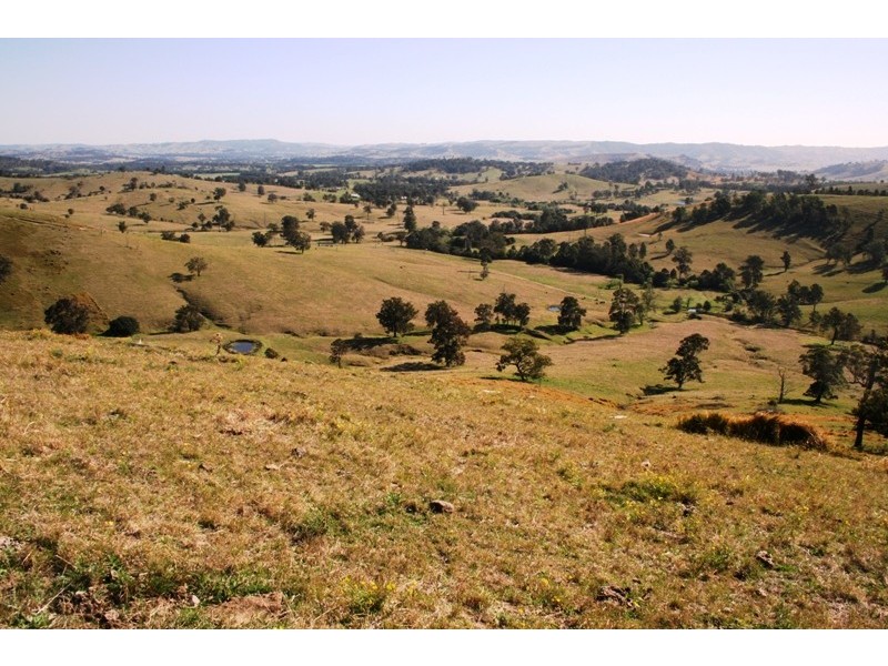 Dungog NSW 2420