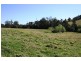 Dungog NSW 2420