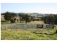 Dungog NSW 2420