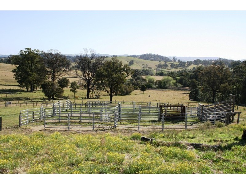 Dungog NSW 2420