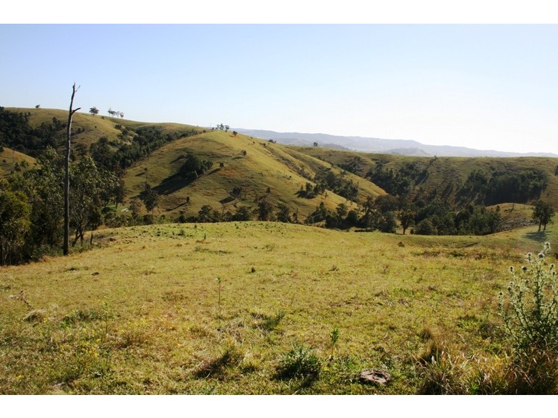 Dungog NSW 2420