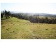 Dungog NSW 2420