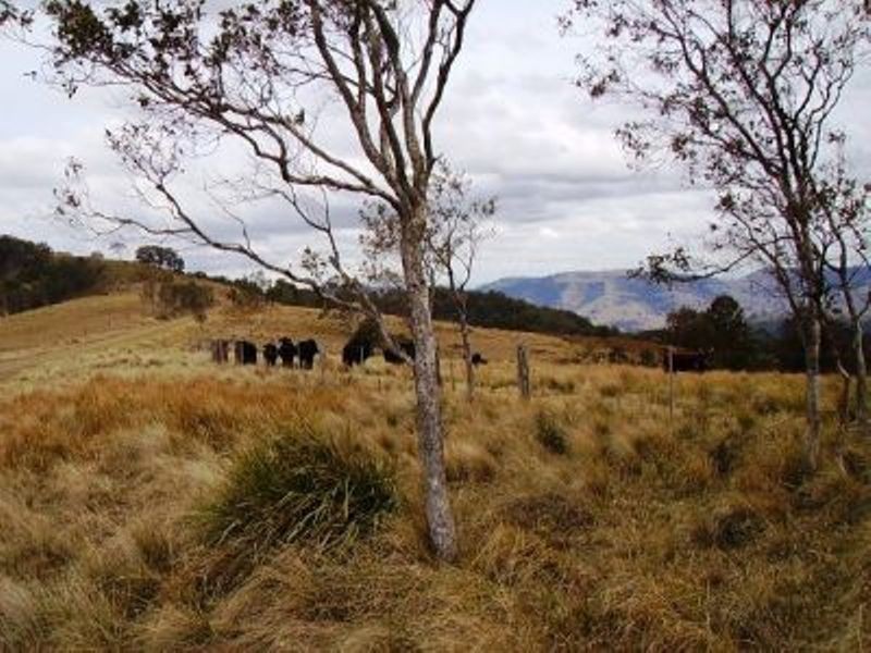 Lot 120 Boonabilla Road, Gresford NSW 2311