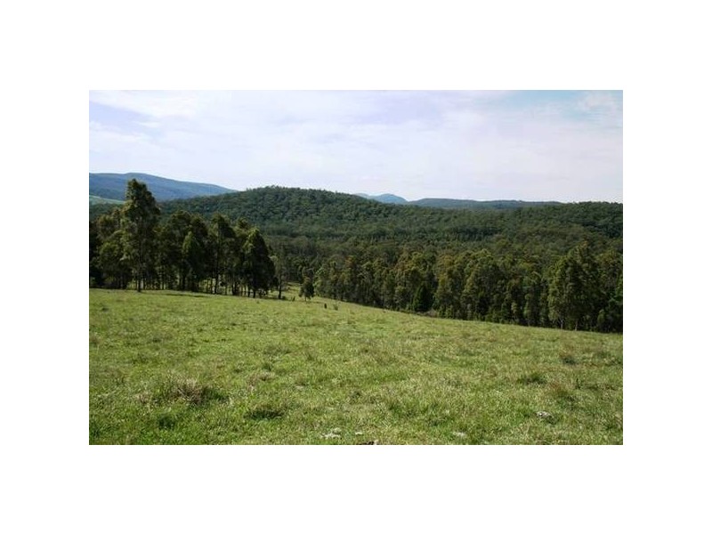 Dungog NSW 2420