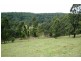 Dungog NSW 2420