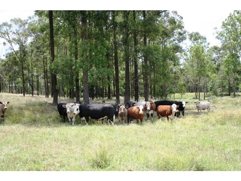 Clarence Town NSW 2321