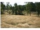 Gresford NSW 2311