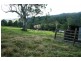 Gresford NSW 2311