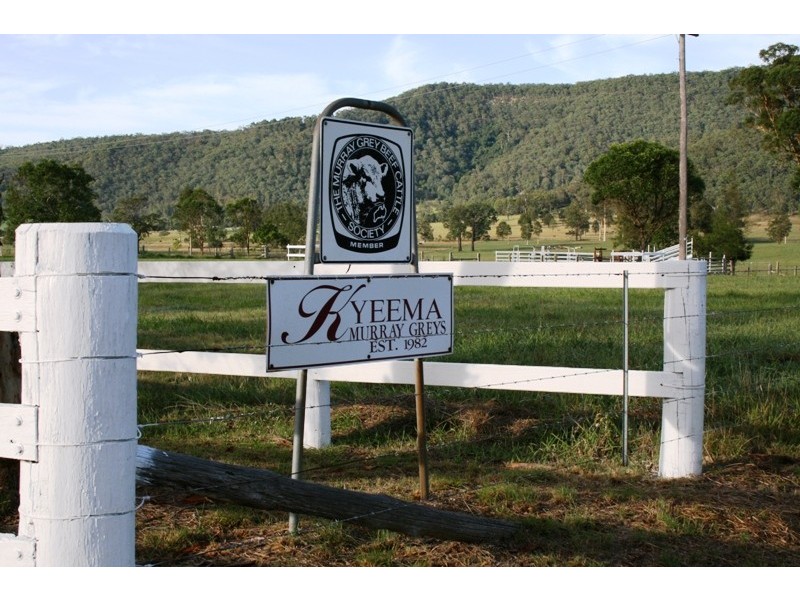 68 Dungog Road, Paterson NSW 2421