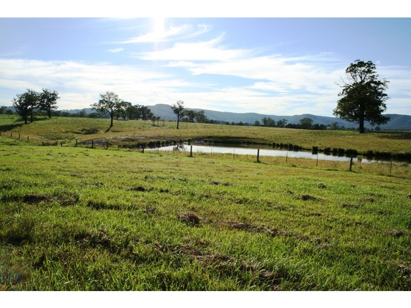 68 Dungog Road, Paterson NSW 2421