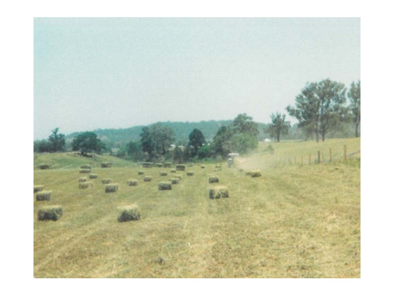 68 Dungog Road, Paterson NSW 2421