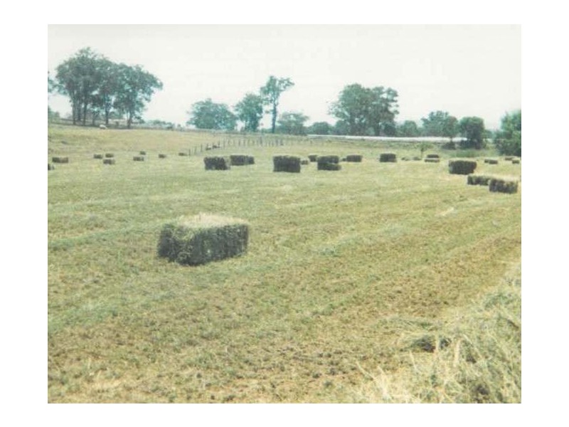 68 Dungog Road, Paterson NSW 2421