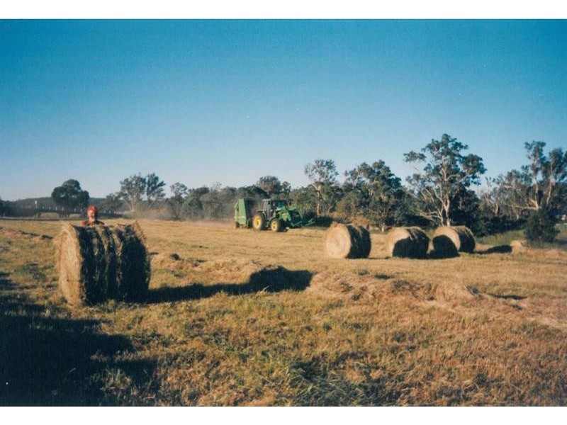 68 Dungog Road, Paterson NSW 2421