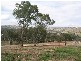 87-118 Wattle Glen Estate, Wodonga VIC 3690