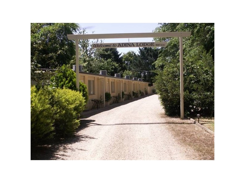 1 ASHWOOD AVENUE, Bright VIC 3741