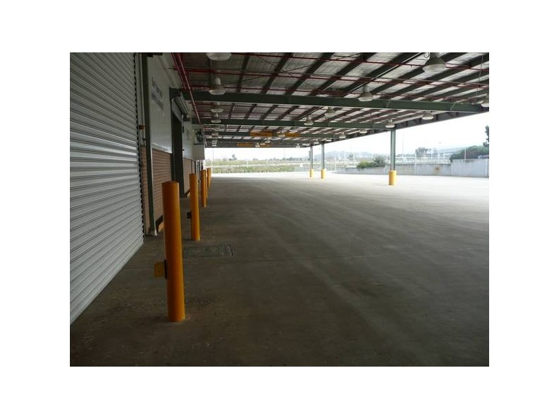 215 EAST STREET, Albury NSW 2640