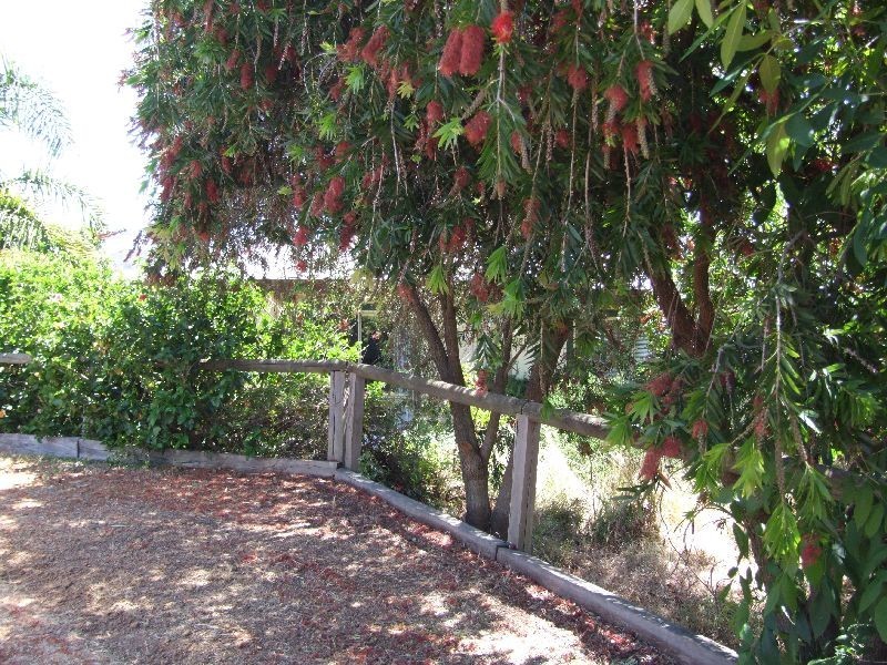 21 Palmer Street, Donnybrook WA 6239