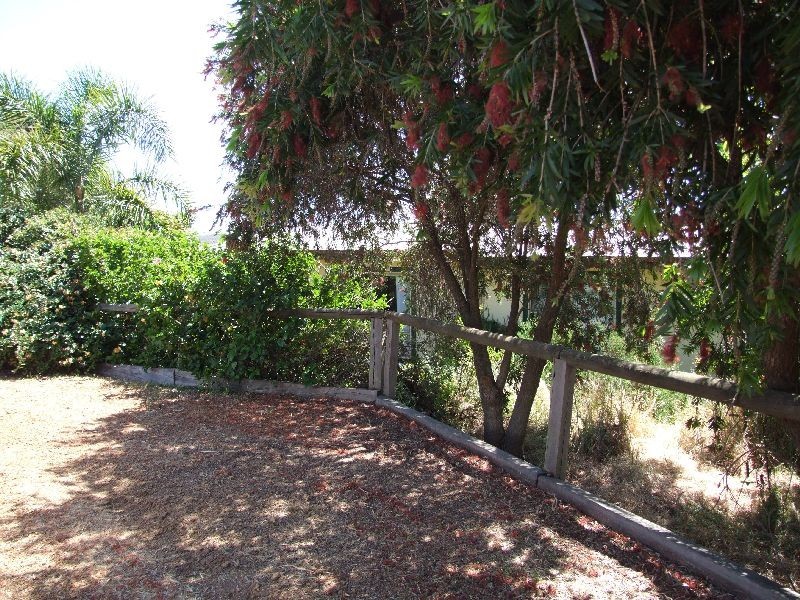 21 Palmer Street, Donnybrook WA 6239